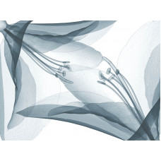 Пристенная панель 9332/S 4200х600х10 Arte2