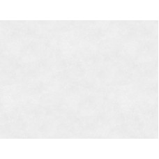 8285/Pt Vasto Кромка б\клея 3000*42*0,5 серия k3