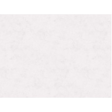 8458/Pt Freeride Столешница СЛОТЕКС 3000*600*40 1п/5 Серия е1