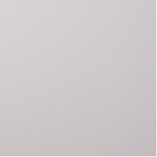 Панель 729 матовый НОВЫЙ СЕРЫЙ 2800*1220*10 (ДЕСЯТЬ) Kastamonu