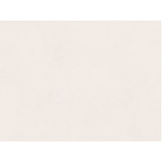 8706/St Biscotto Фасадное полотно ДСП 2440*1830*18 серия DUCO 2 АКЦИЯ