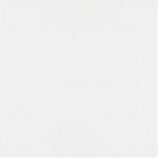 Панель 101/647 глянец БЬЯНКО 2800*1220*8 (ВОСЕМЬ) Kastamonu