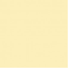 Кромка P109 глянец Светло-желтый ПВХ 22*1мм EVOGLOSS