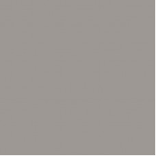 Кромка Бежевый древесный M.431.S01 23*0,8мм ABS (Италия)