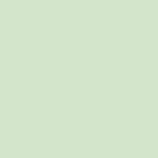 Кромка Зеленый мятный М 605.S01 19*0,8мм ABS (Италия)