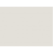 Кромка АГТ 3019/EVS001 23х0,8, супермат, Сахара крем, 100820U РЕХАУ