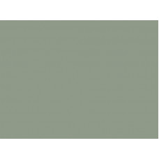 Кромка РЕХАУ 410016U Ирландский мох 23*1 мм