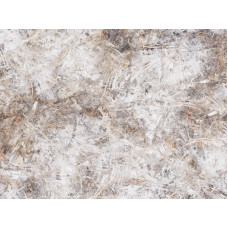 32 Кромка б/к (3000*50) Волшебное дерево светлое