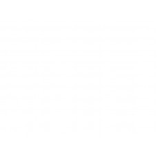 1111/S Белый Пристенная панель 3000*600*10 Серия